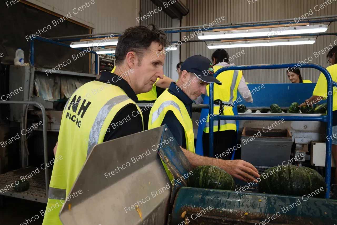 NH Packing - Shane and John (12)