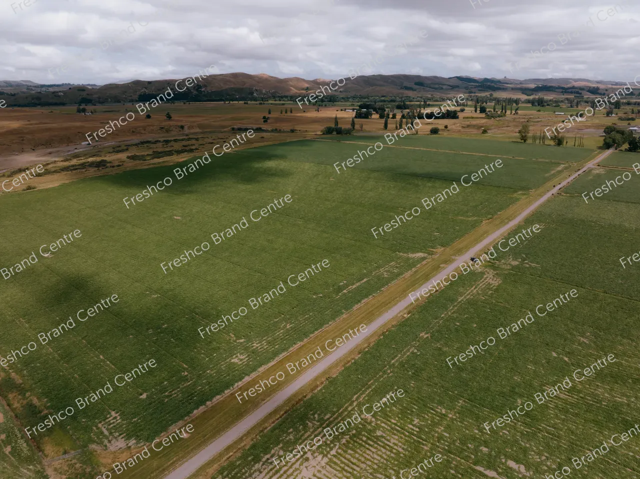 Kabocha Paddock Hawkes Bay (16)