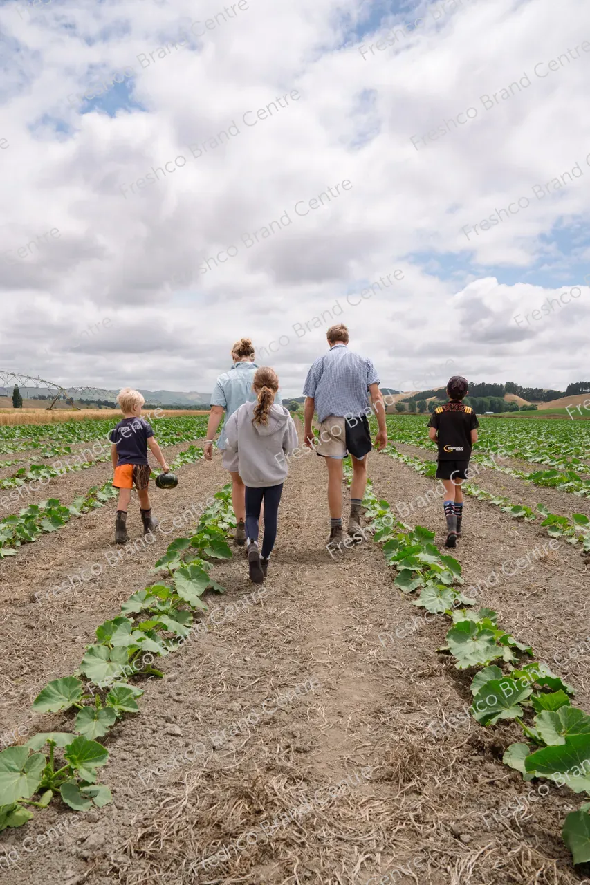 Simon White TGM Grower Hawkes Bay (12)