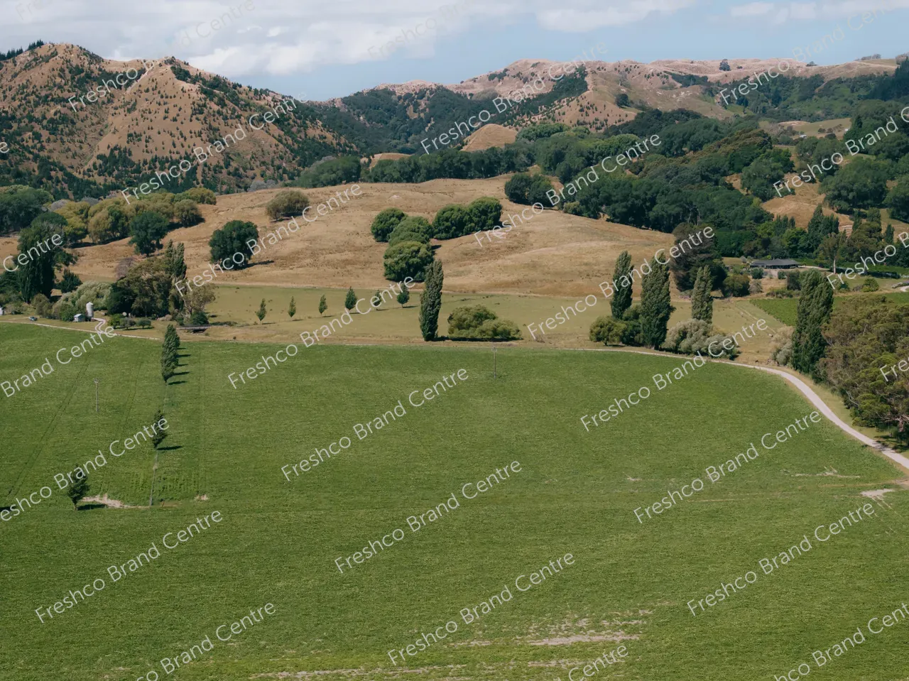 Kabocha Paddock Gisborne (31)