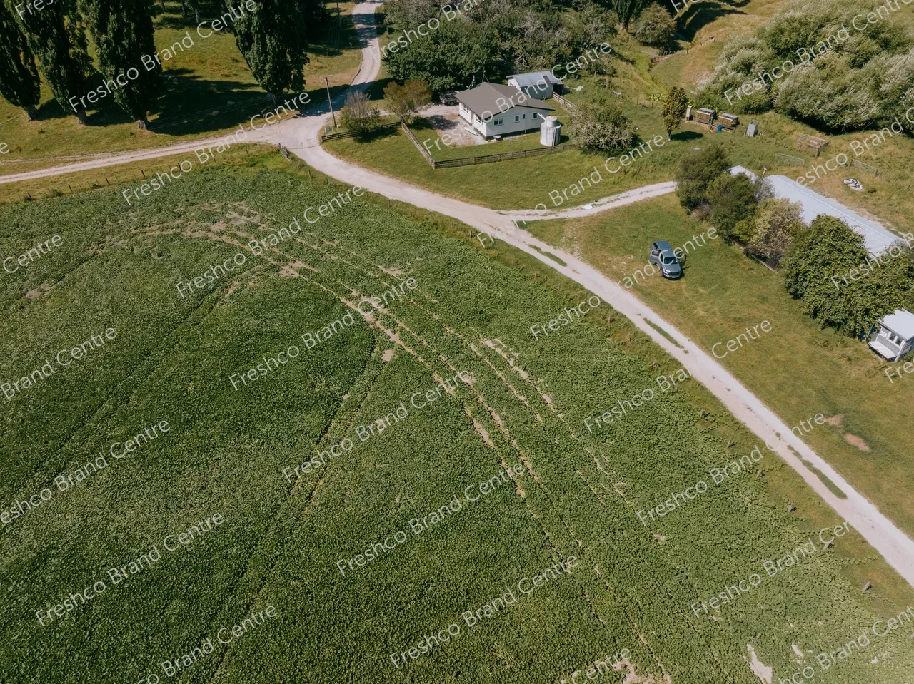 Kabocha Paddock Gisborne (36)