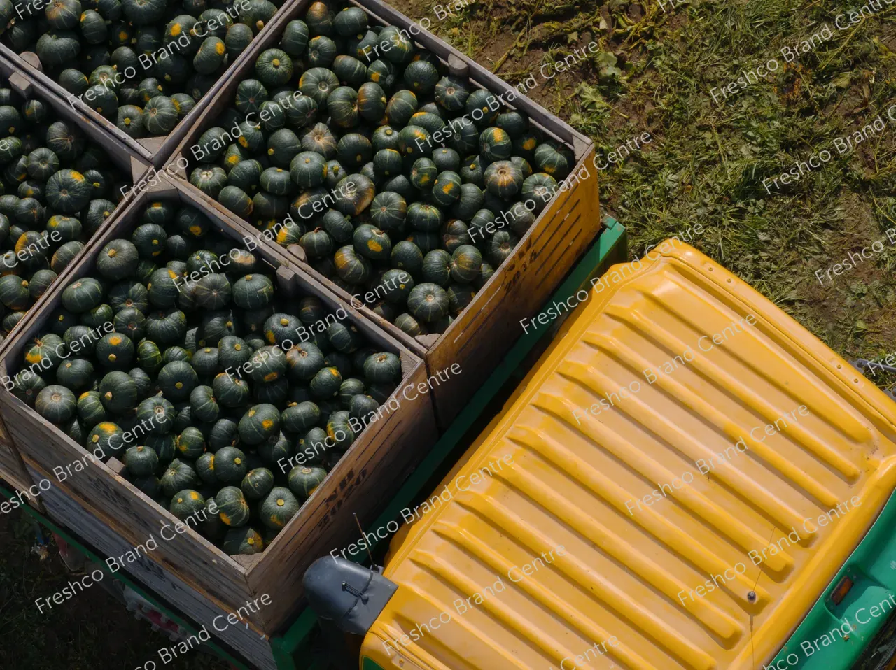 Kabocha Paddock Hawkes Bay (21)