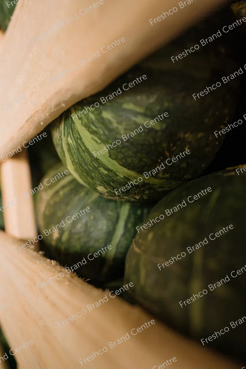 37_TGM_2024_Content_18_01_2024_DSC03810_Full_Size