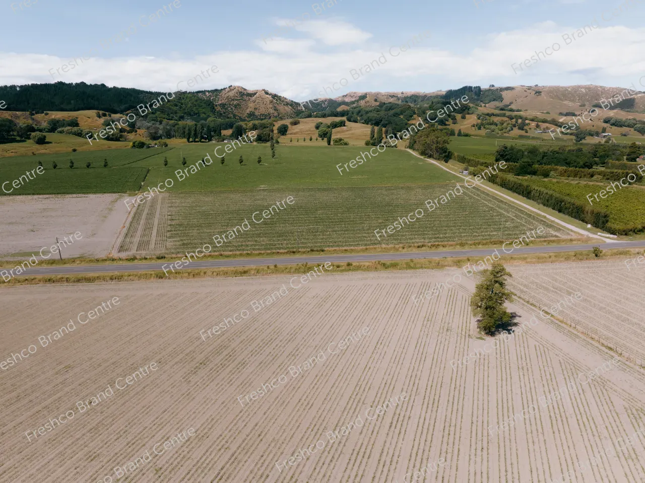 Kabocha Paddock Gisborne (34)