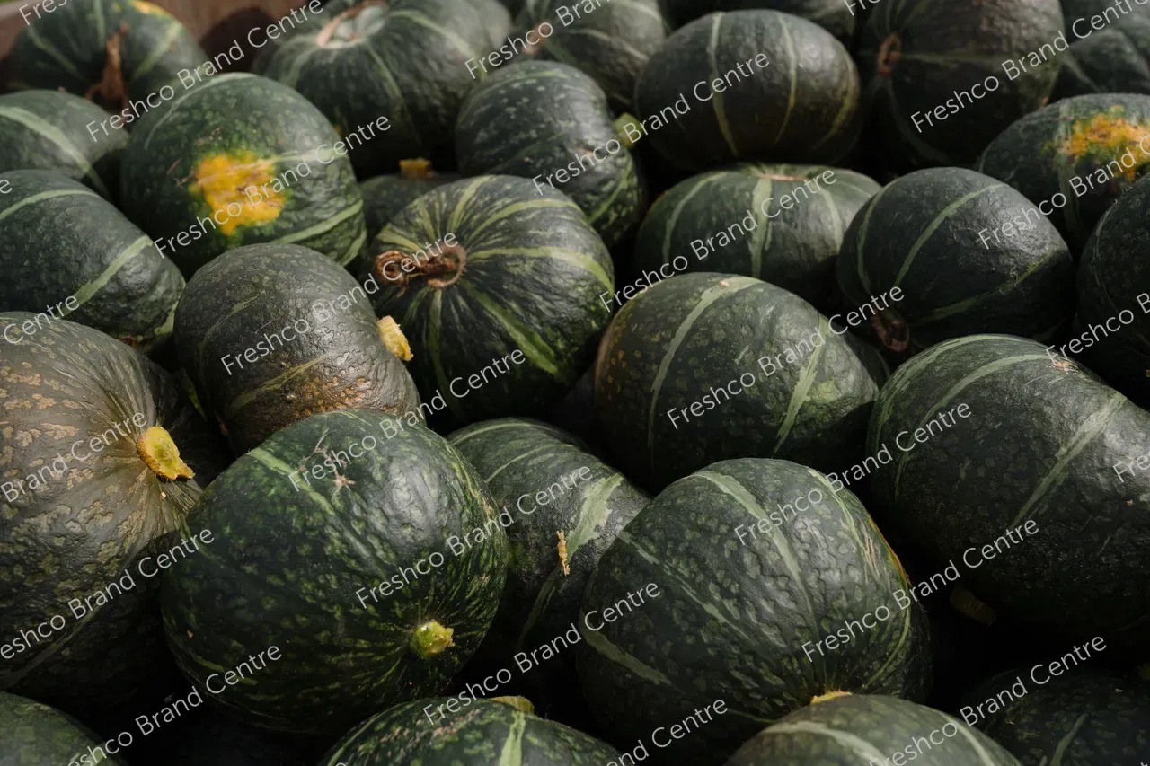 Kabocha Paddock Hawkes Bay (27)