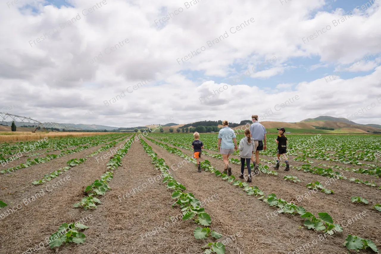 Simon White TGM Grower Hawkes Bay (11)