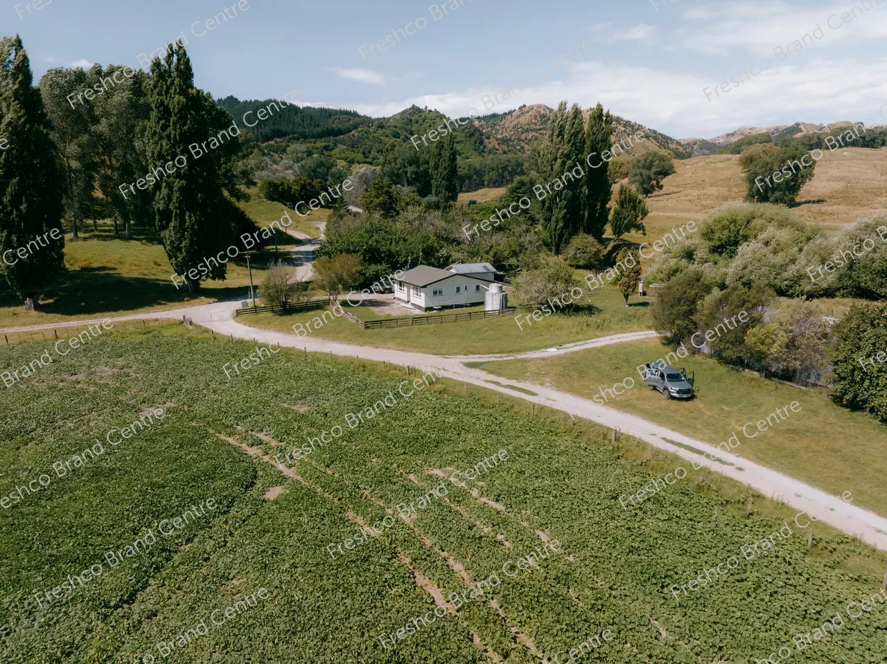 Kabocha Paddock Gisborne (37)