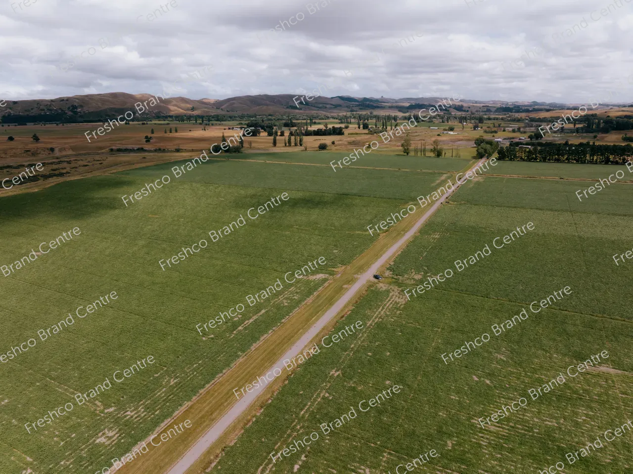 Kabocha Paddock Hawkes Bay (15)