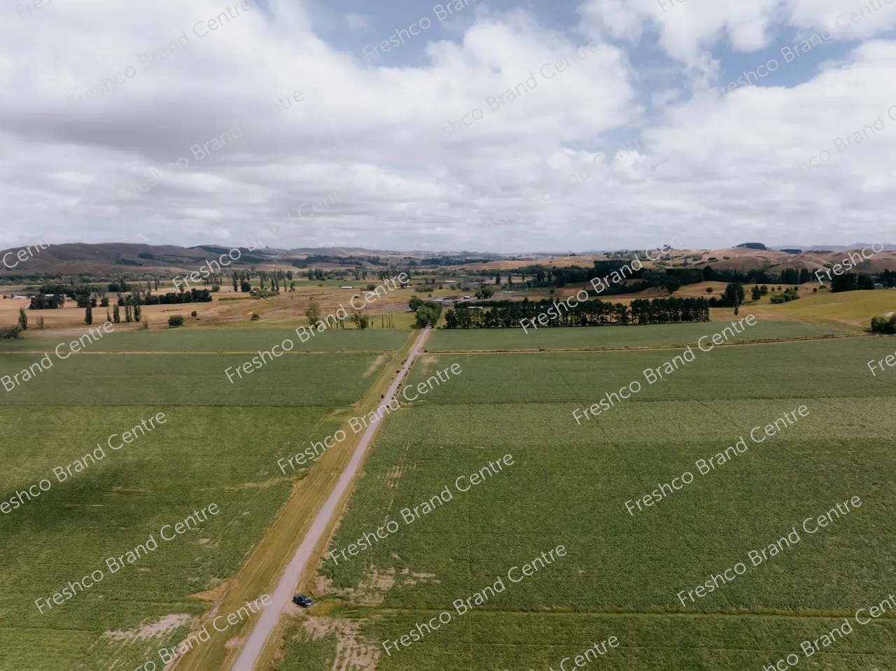 Kabocha Paddock Hawkes Bay (14)