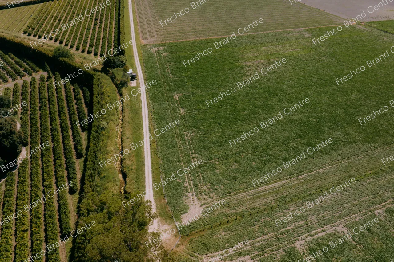 Kabocha Paddock Gisborne (27)