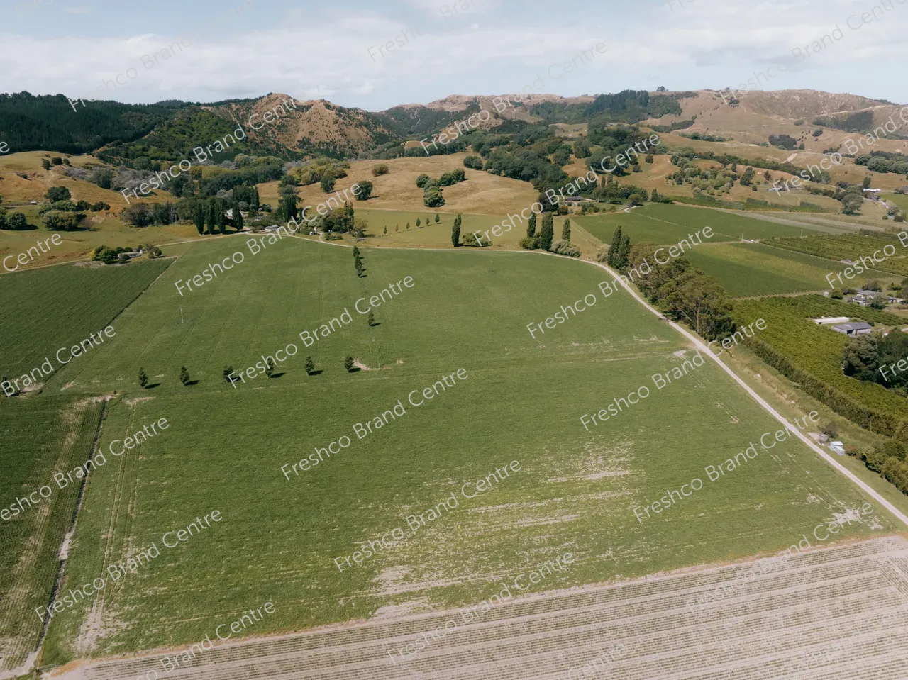 Kabocha Paddock Gisborne (35)