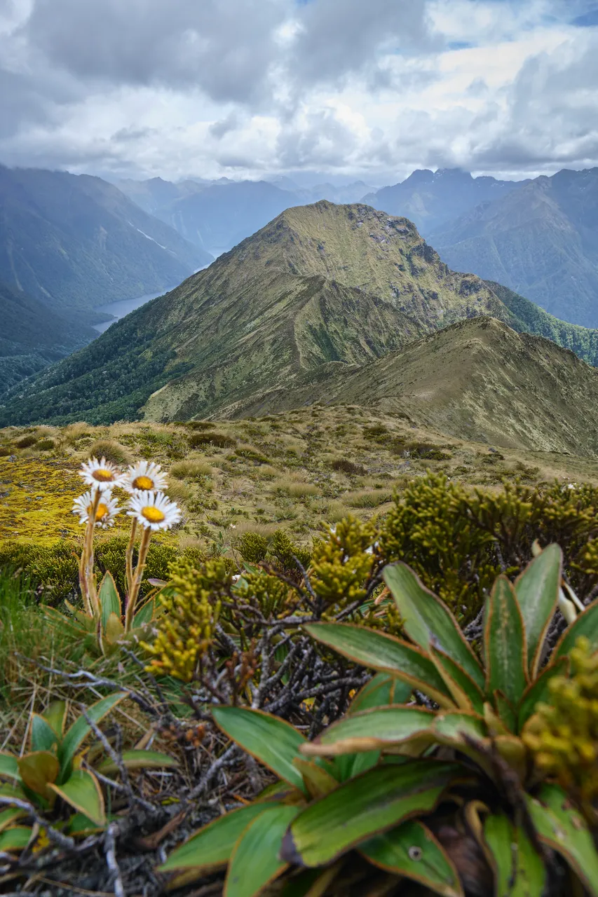 Kepler Track - Southland, New Zealand - Credit Bas Bergsma (5)
