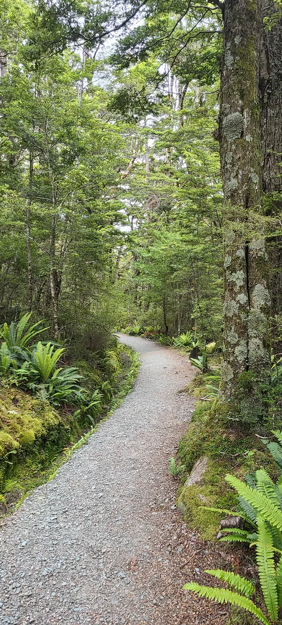 Kepler Track, Fiordland - Southland, New Zealand - Credit Great South (2)