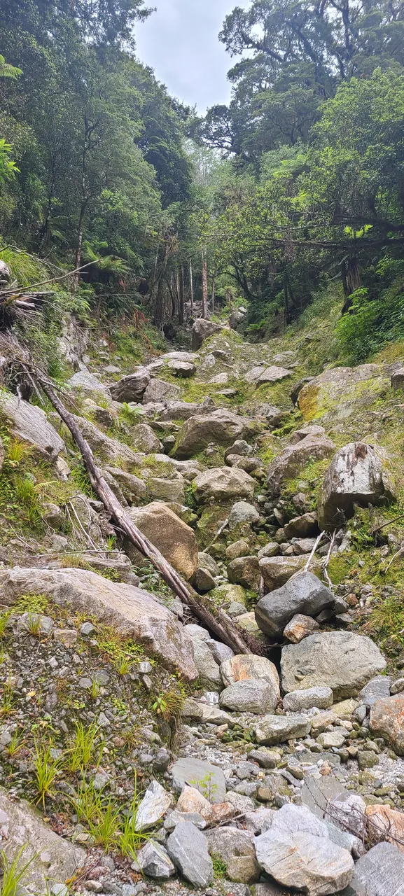 Milford Track, Fiordland - Southland, New Zealand - Credit Great South (10)