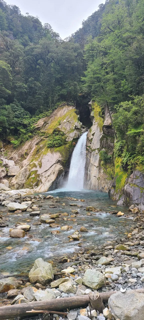 Milford Track, Fiordland - Southland, New Zealand - Credit Great South (14)