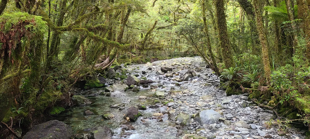 Milford Track, Fiordland - Southland, New Zealand - Credit Great South (3)