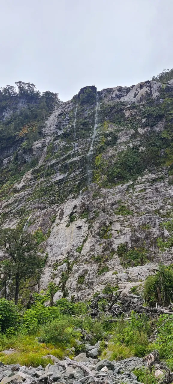 Milford Track, Fiordland - Southland, New Zealand - Credit Great South (6)