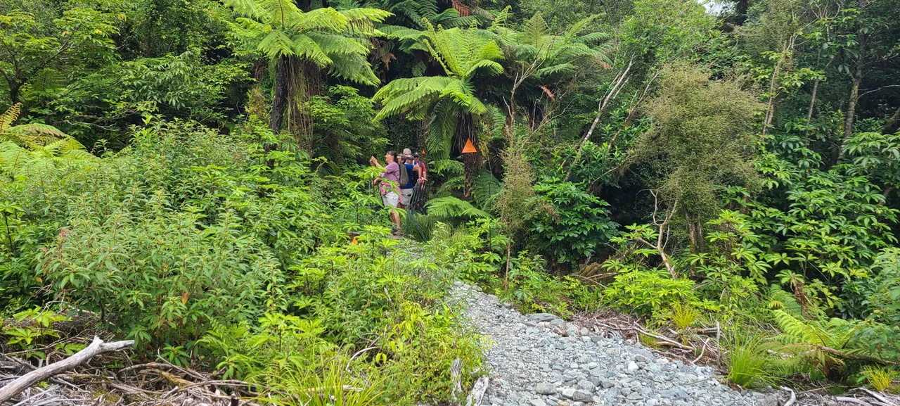 Milford Track, Fiordland - Southland, New Zealand - Credit Great South (7)