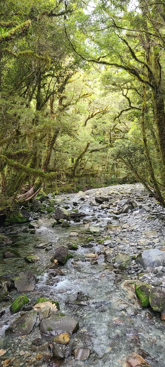 Milford Track, Fiordland - Southland, New Zealand - Credit Great South (4)