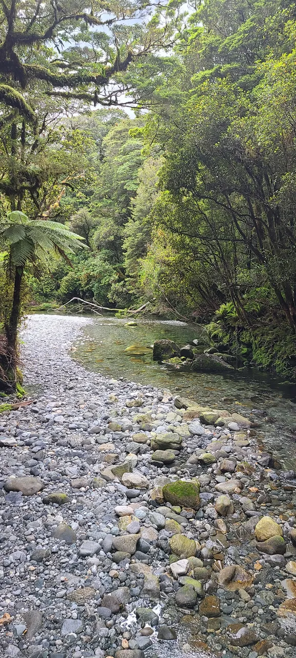 Milford Track, Fiordland - Southland, New Zealand - Credit Great South (2)