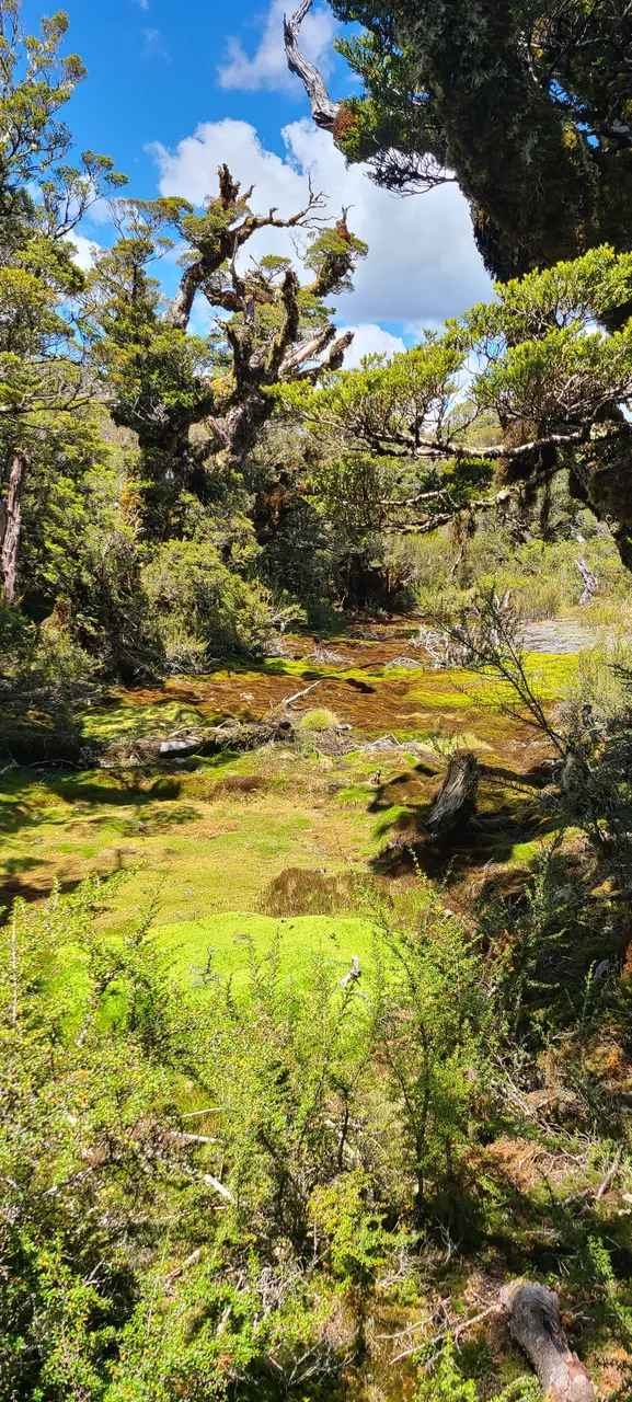 Routeburn Track, Fiordland - Southland, New Zealand - Credit Great South (62)