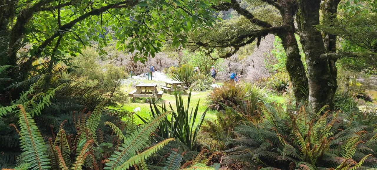 Routeburn Track - Southland, New Zealand - Credit Great South