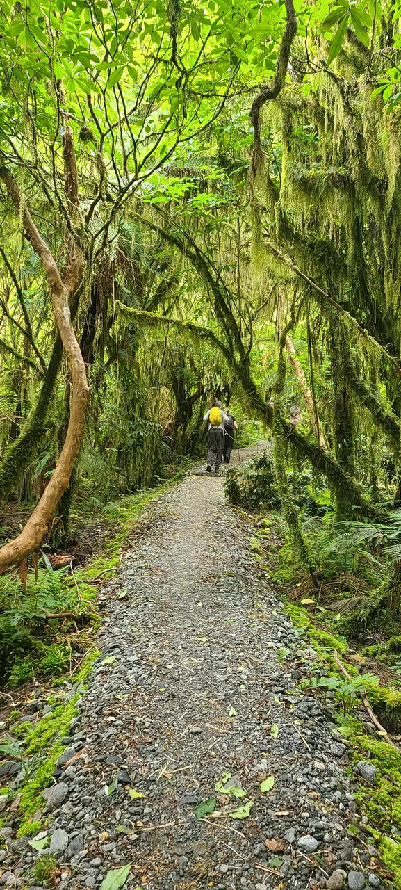 Milford Track, Fiordland - Southland, New Zealand - Credit Great South (12)