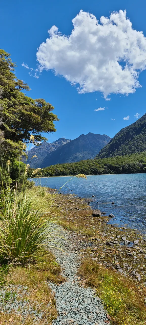Lake Gunn, Fiordland - Southland, New Zealand - Credit Great South (2)