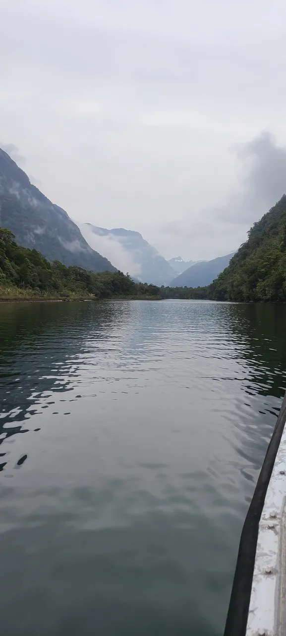 Milford Sound, Fiordland - Southland, New Zealand - Credit Great South (7)