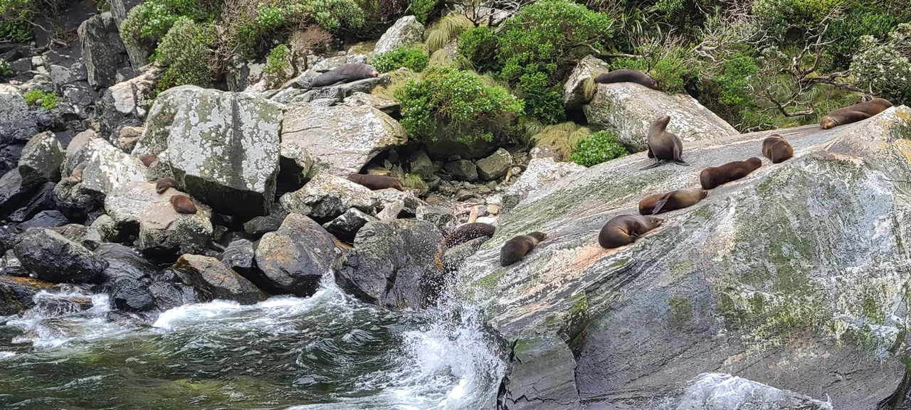 Milford Sound, Fiordland - Southland New Zealand - Credit Great South (6)