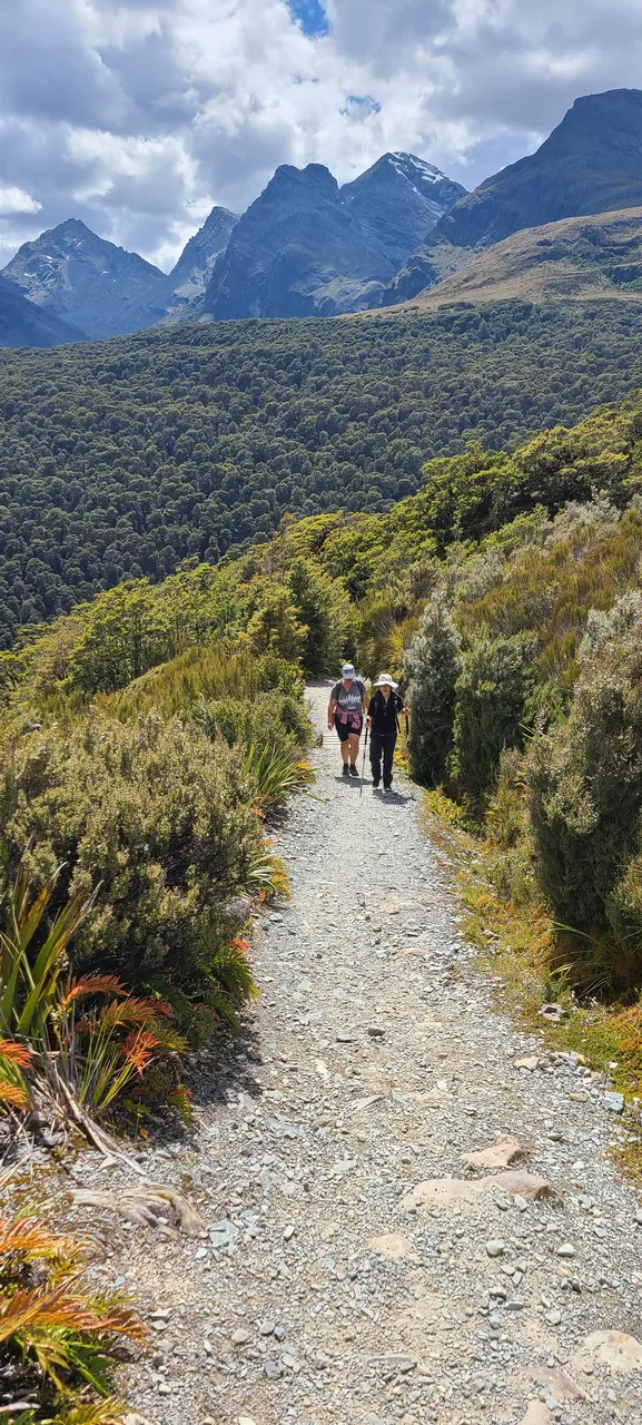 Routeburn Track, Fiordland - Southland, New Zealand - Credit Great South (45)