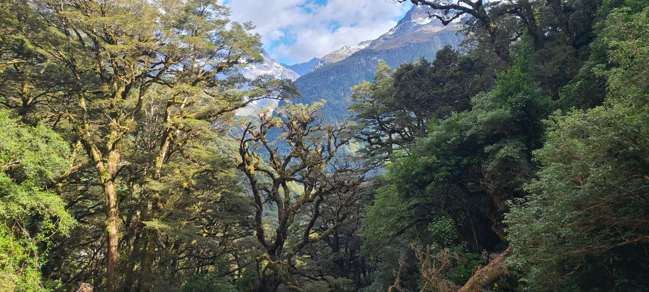 Routeburn Track, Fiordland - Southland, New Zealand - Credit Great South (36)