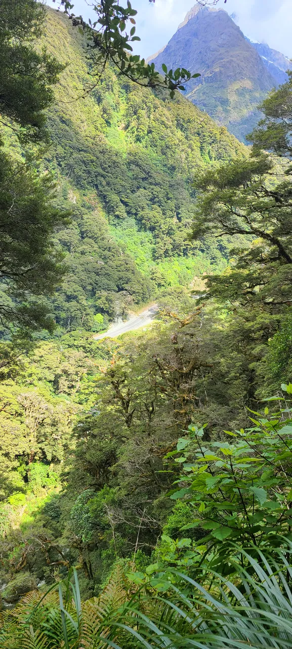 Routeburn Track, Fiordland - Southland, New Zealand - Credit Great South (37)
