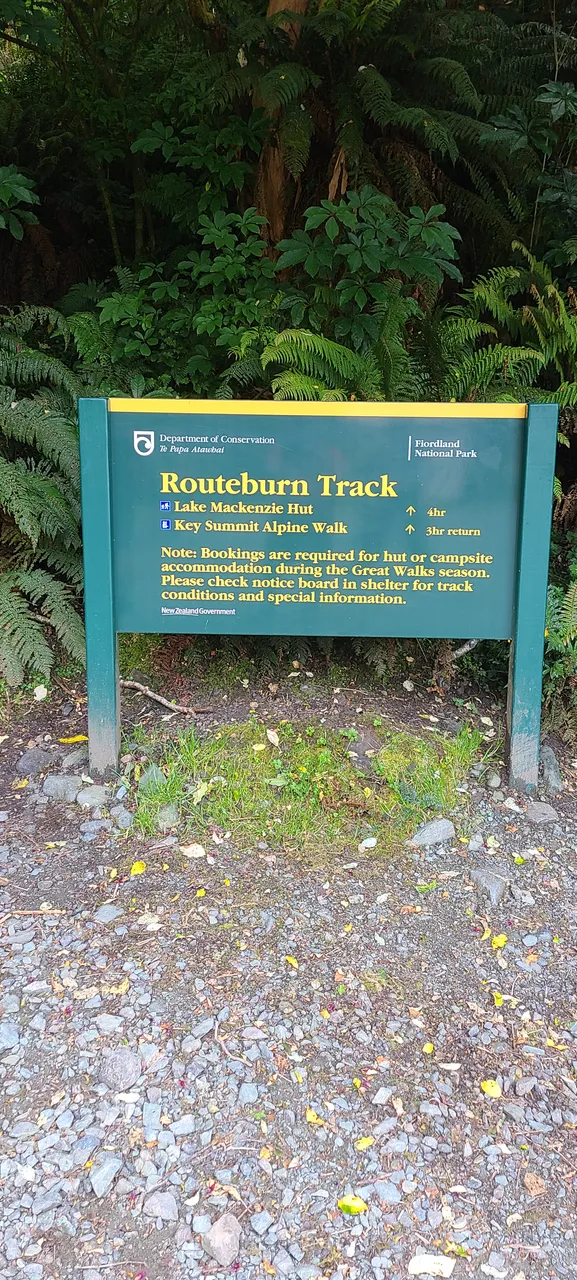 Routeburn Track, Fiordland - Southland, New Zealand - Credit Great South (34)