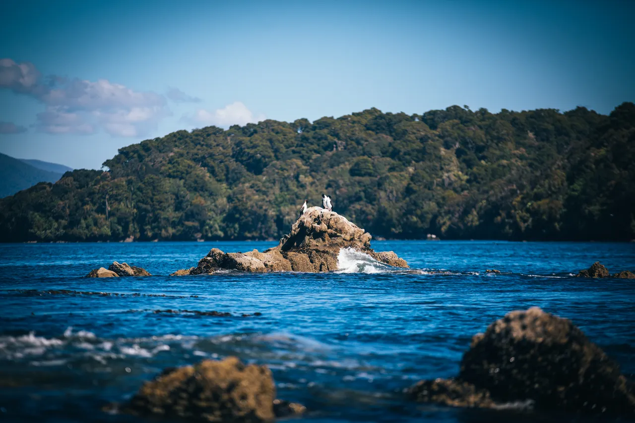 Stewart Island - Southland, New Zealand - Credit Liz Carlson (53)