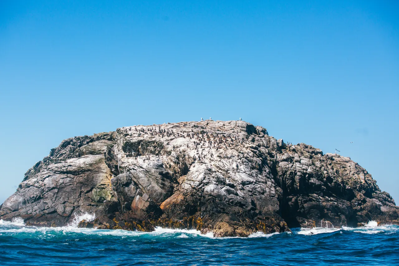 Stewart Island - Southland, New Zealand - Credit Liz Carlson (50)