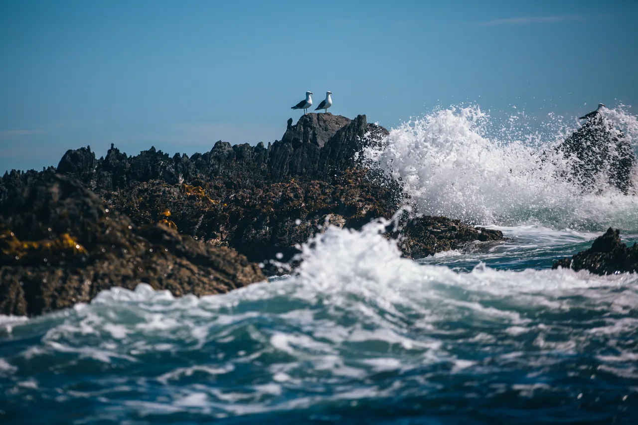 Stewart Island - Southland, New Zealand - Credit Liz Carlson (51)