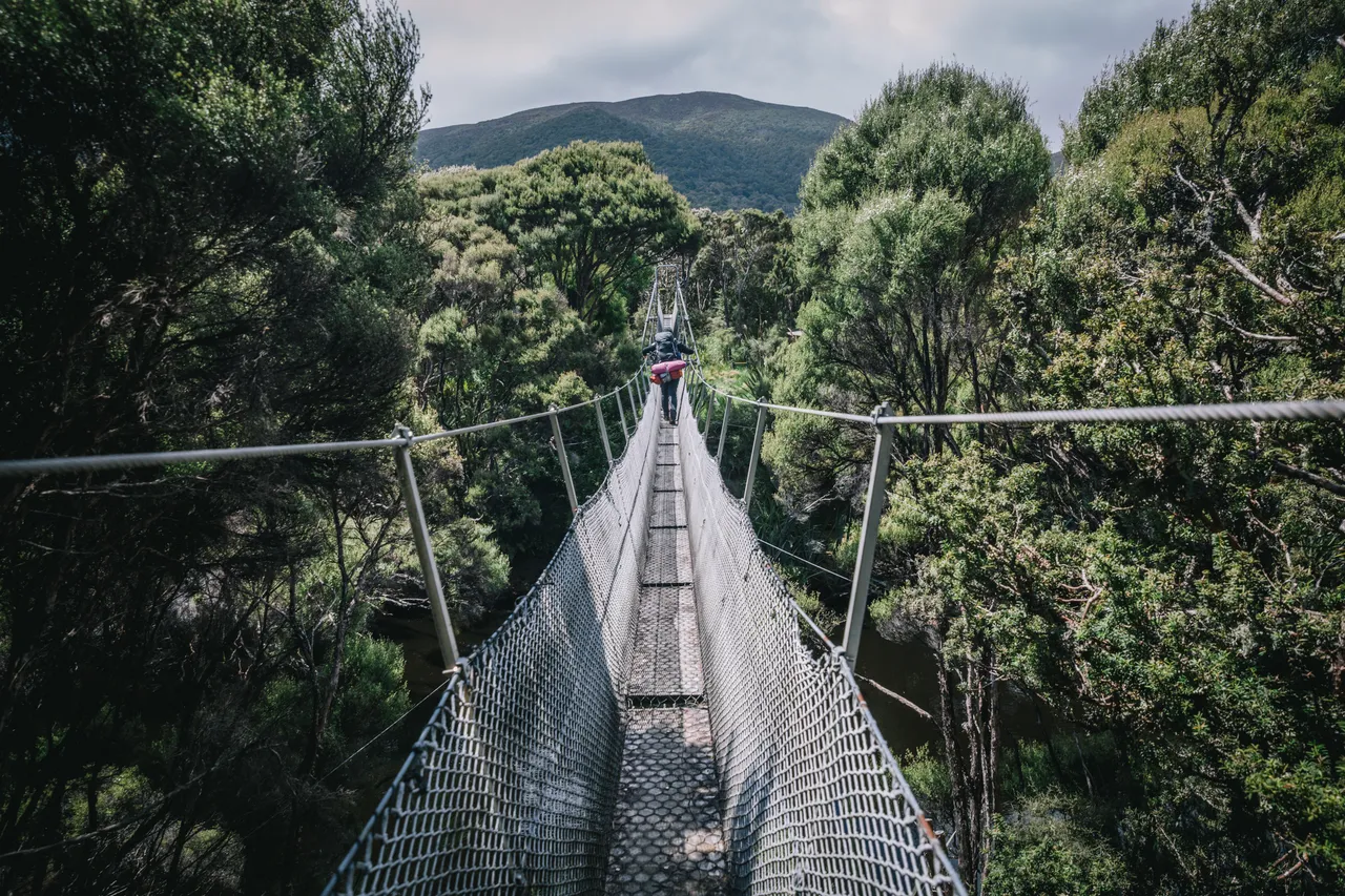 Stewart Island - Southland, New Zealand - Credit Liz Carlson (32)