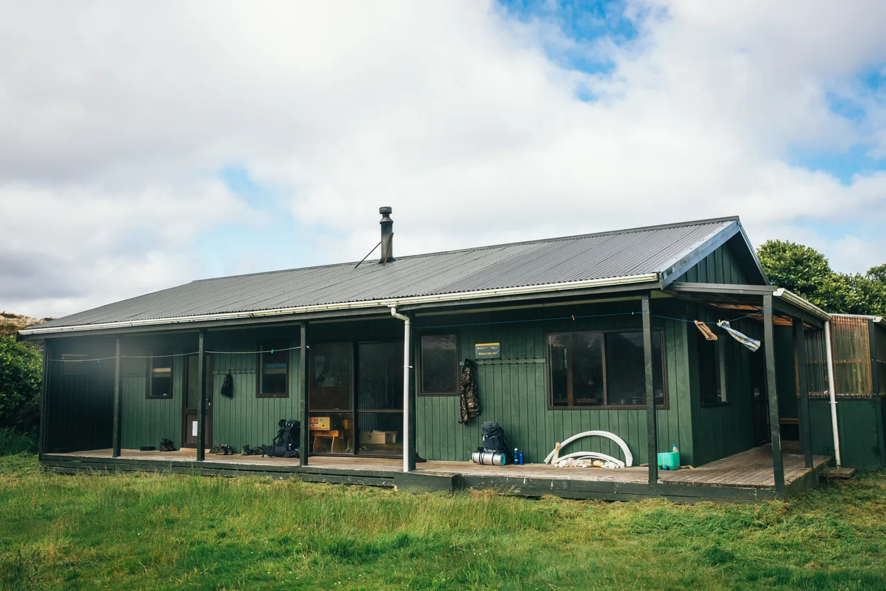 Stewart Island - Southland, New Zealand - Credit Liz Carlson (27)