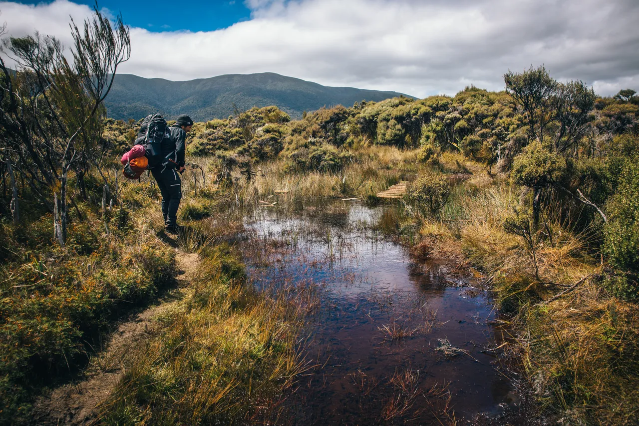 Stewart Island - Southland, New Zealand - Credit Liz Carlson (31)