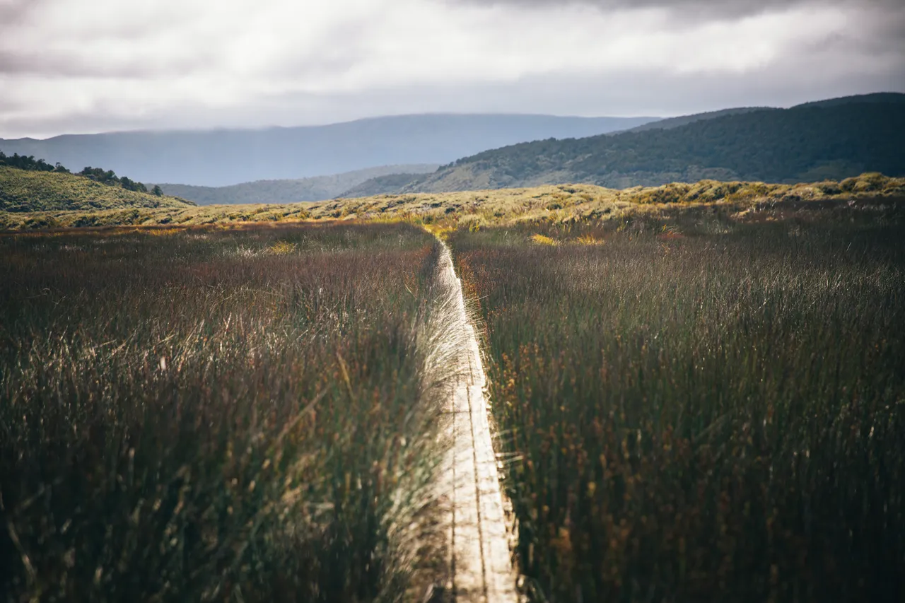 Stewart Island - Southland, New Zealand - Credit Liz Carlson (29)