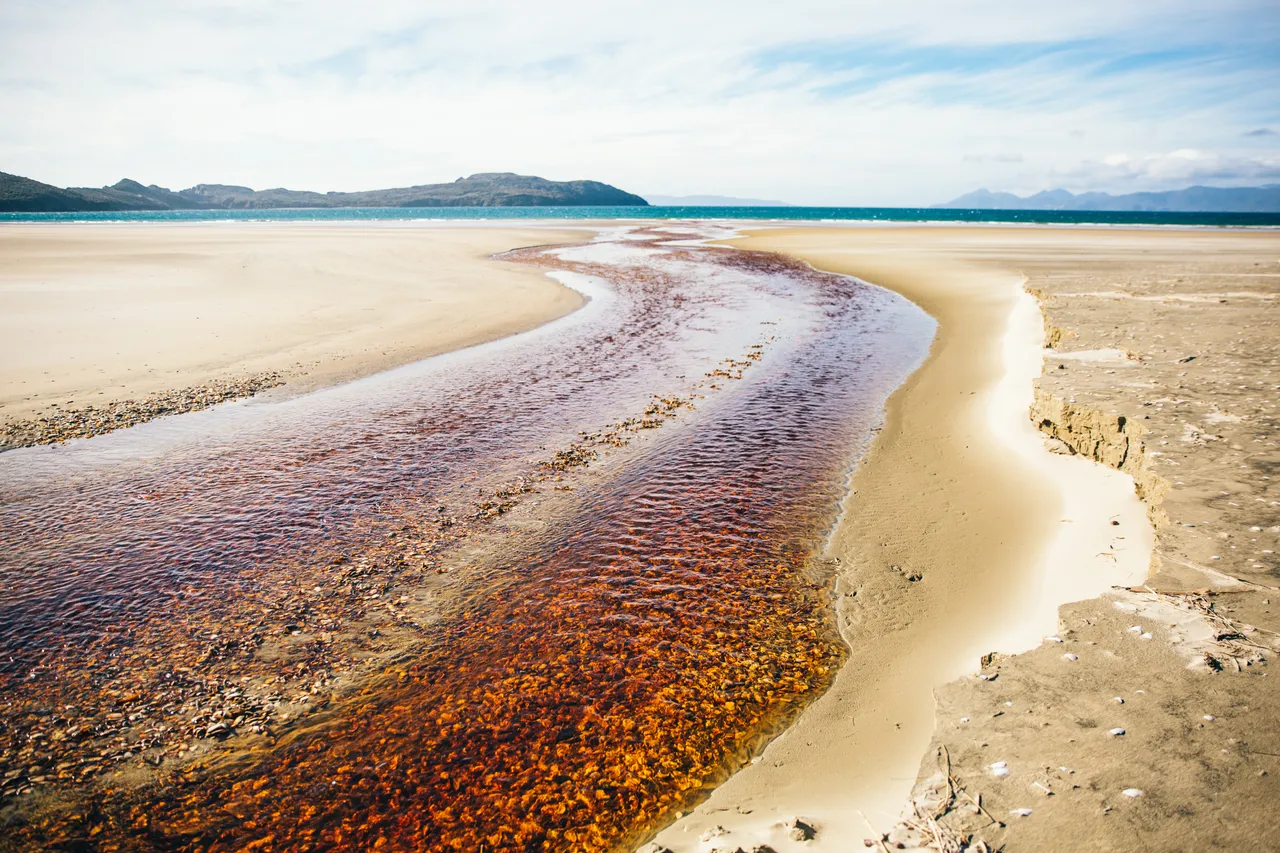 Stewart Island - Southland, New Zealand - Credit Liz Carlson (14)