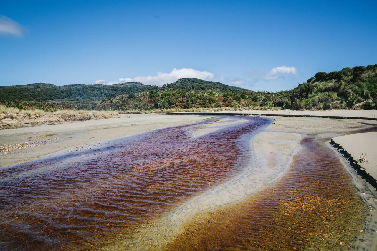 Stewart Island - Southland, New Zealand - Credit Liz Carlson (12)