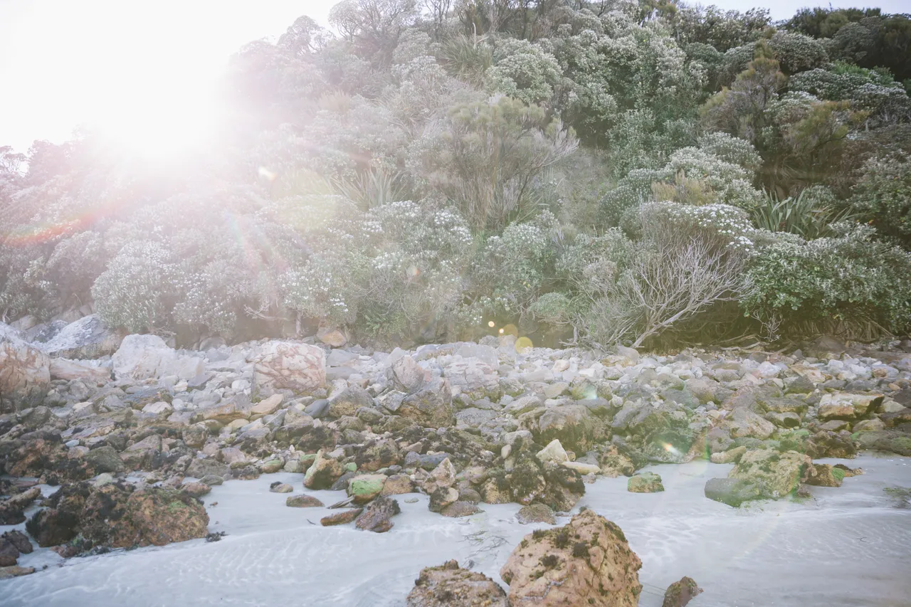 Stewart Island - Southland, New Zealand - Credit Liz Carlson (18)