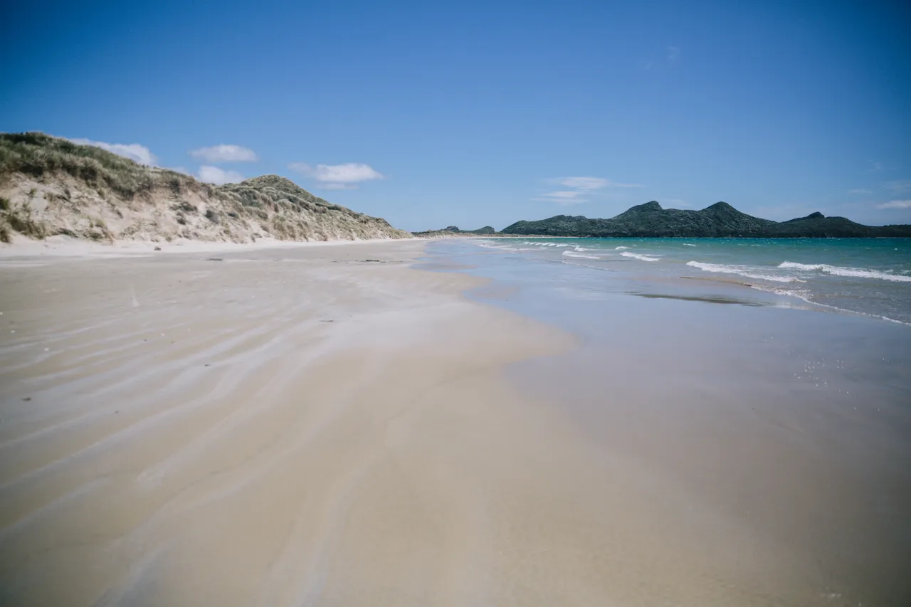 Stewart Island - Southland, New Zealand - Credit Liz Carlson (11)