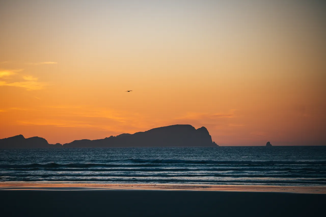 Stewart Island - Southland, New Zealand - Credit Liz Carlson (1)