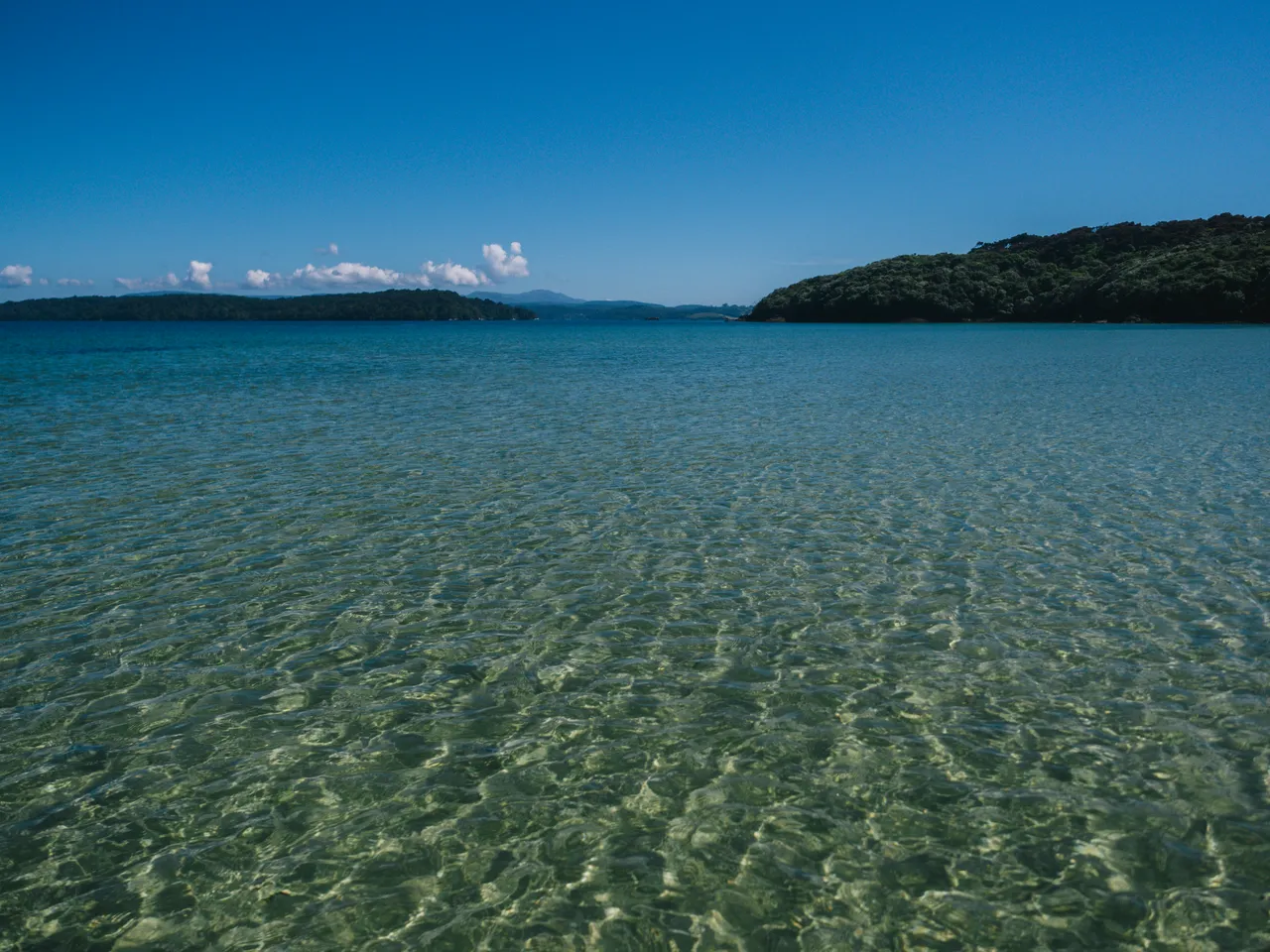 Stewart Island - Southland, New Zealand - Credit Liz Carlson (109)