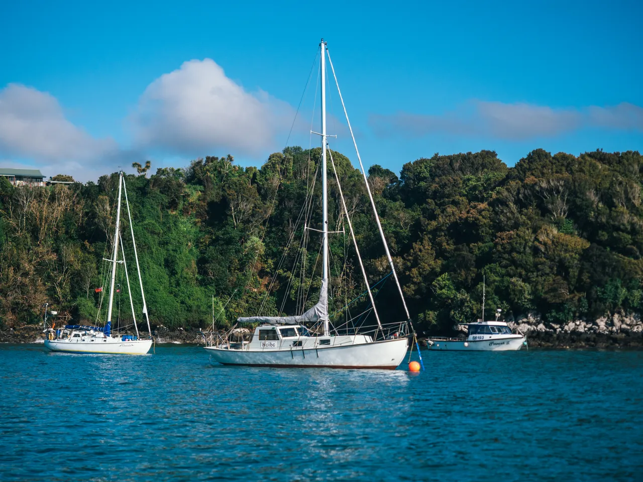 Stewart Island - Southland, New Zealand - Credit Liz Carlson (105)