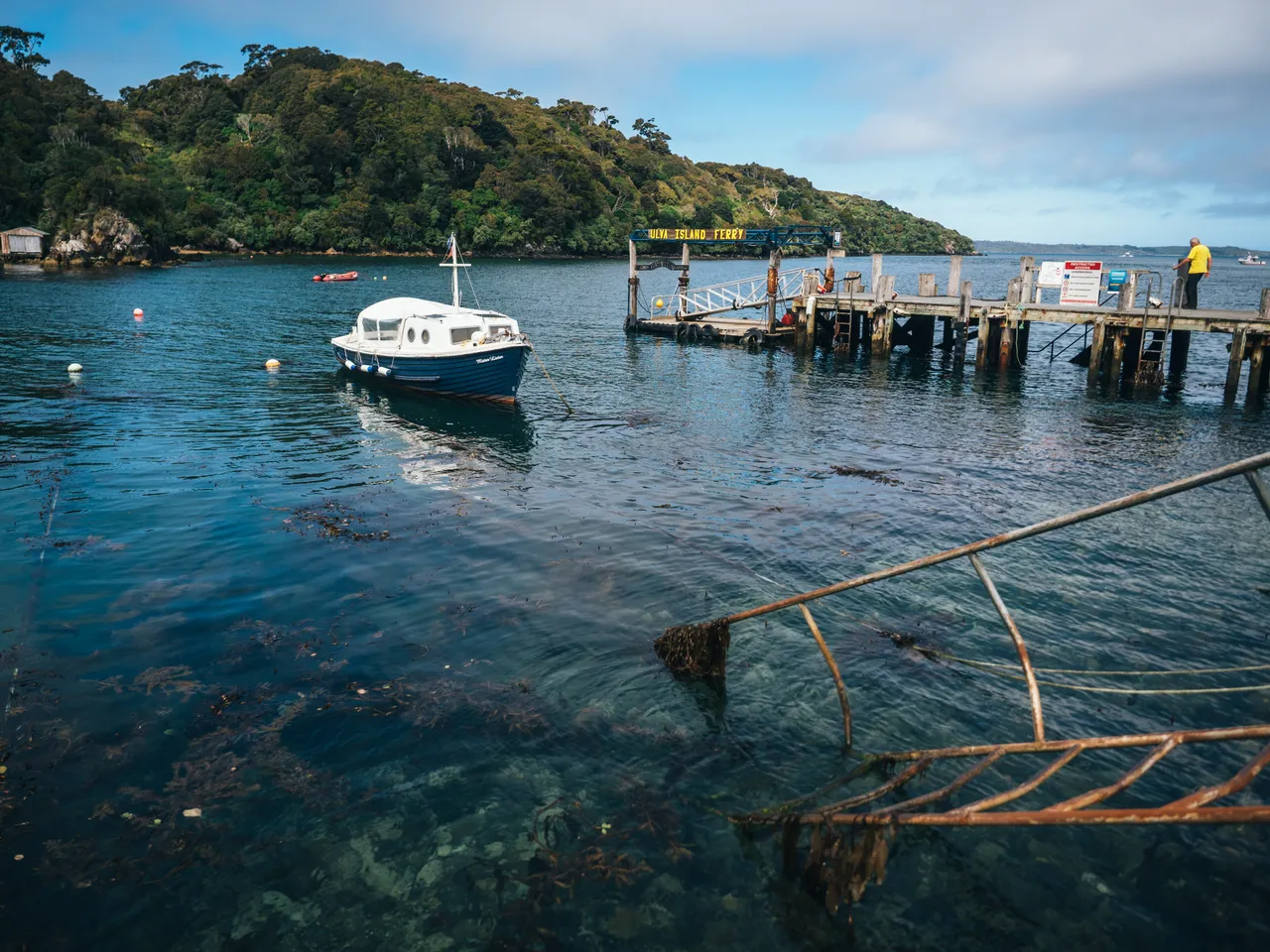 Stewart Island - Southland, New Zealand - Credit Liz Carlson (102)