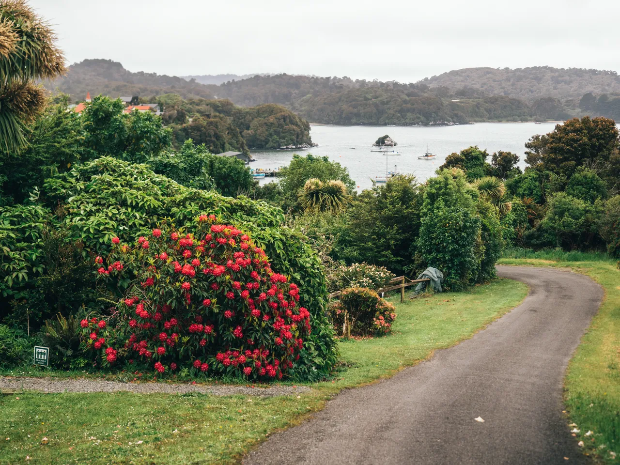 Stewart Island - Southland, New Zealand - Credit Liz Carlson (101)